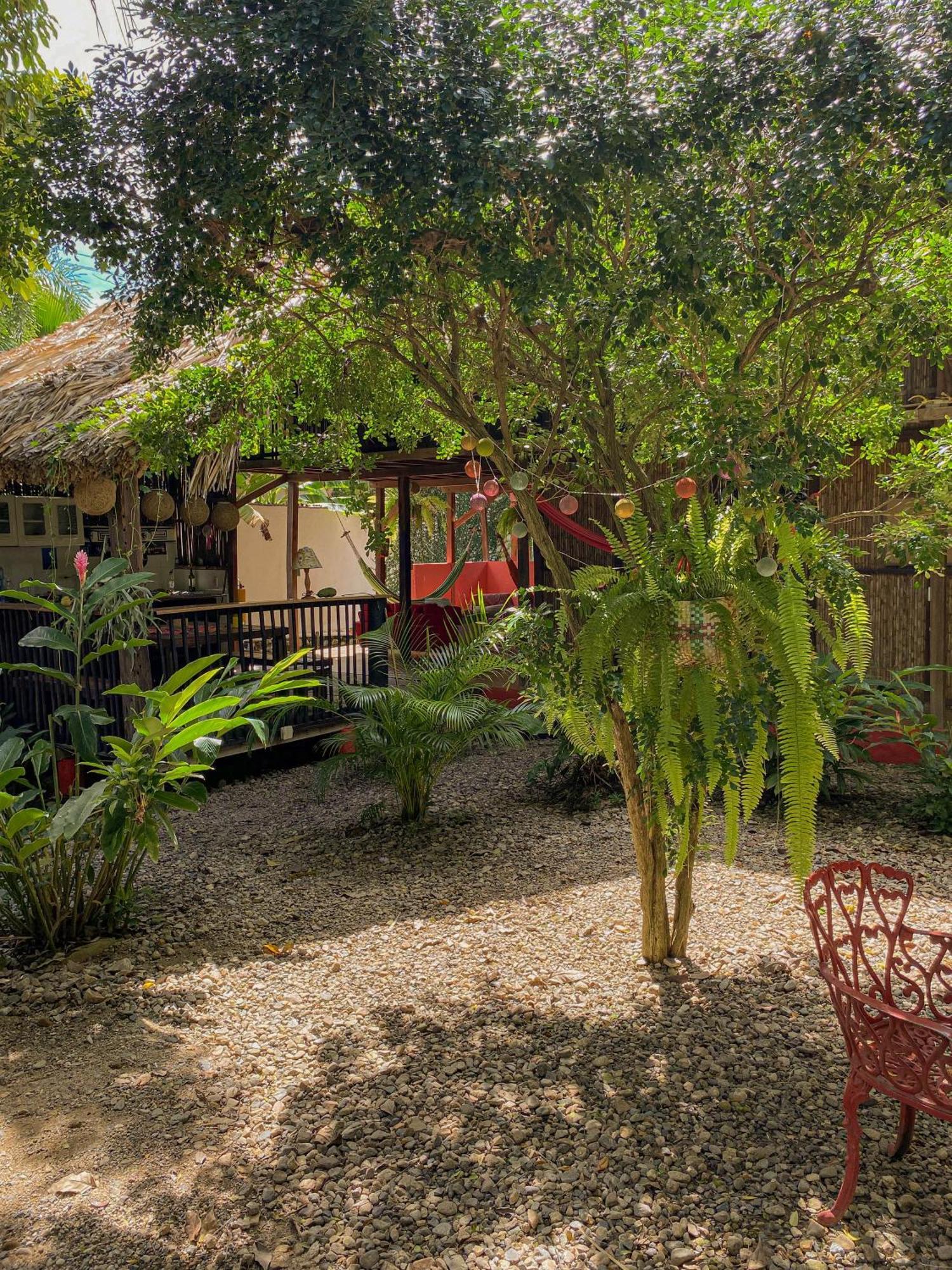 Hostal Zinpar Palomino Kültér fotó